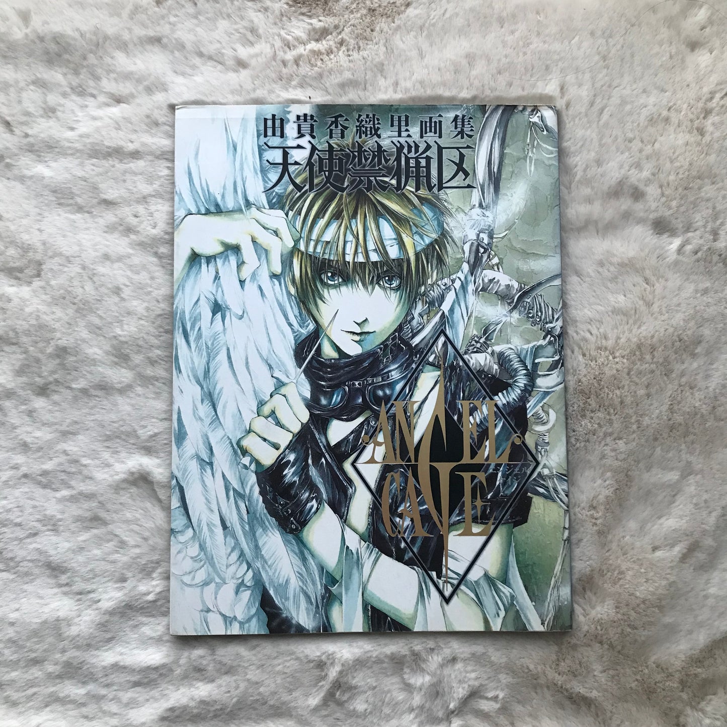 Angel Cage